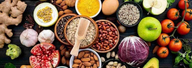 Food Importer Registration System