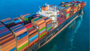 Importing Food Products