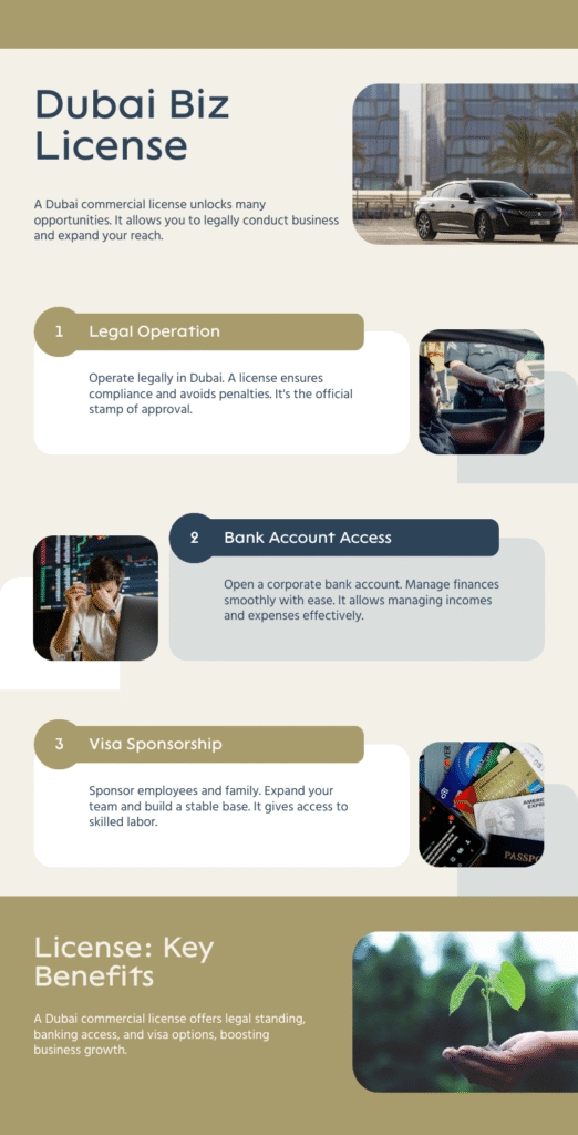 An infographic aboutBenefits of Having a Commercial License in Dubai